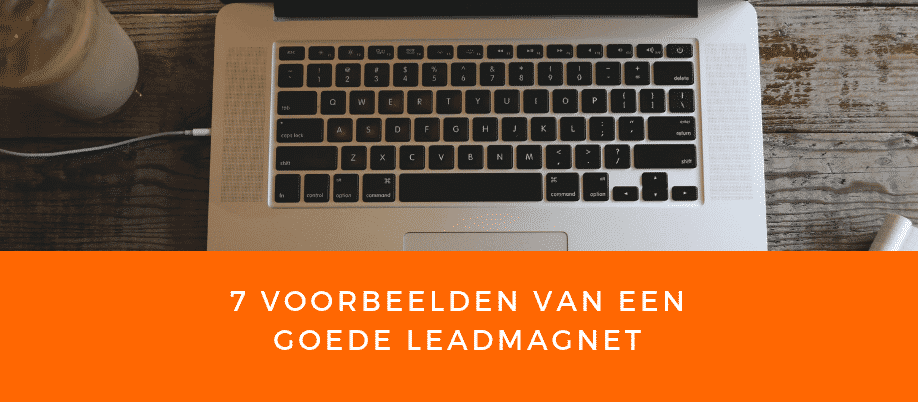 fp 7 7 voorbeelden van een goede leadmagnet